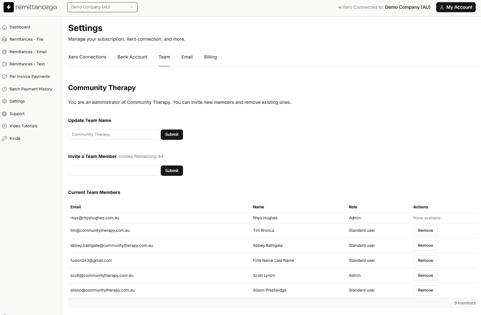 Remittance Go team settings showing team member management